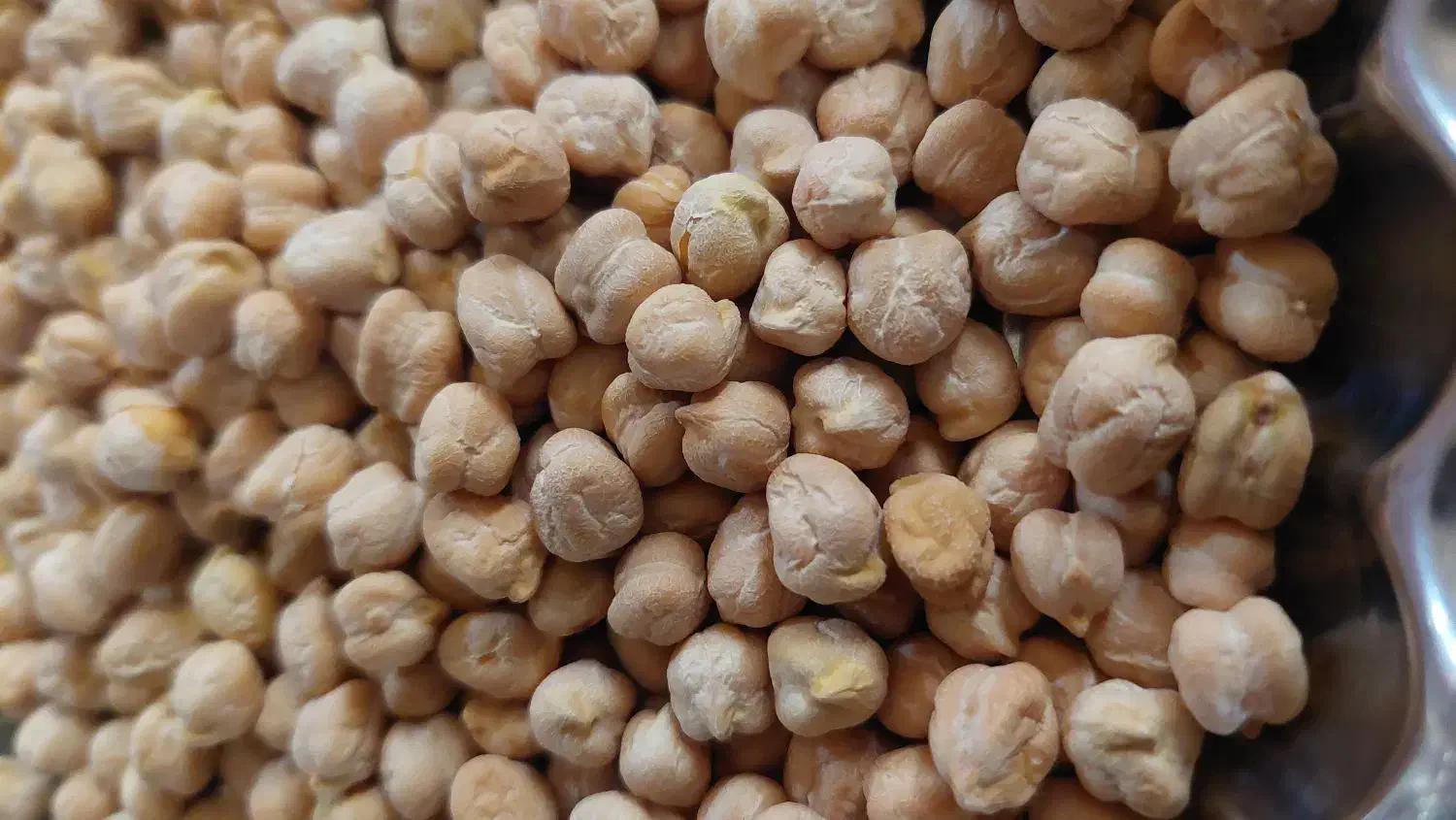 نخود پاک شده ،تمیز|خوردنی و آشامیدنی|اسدآباد, |دیوار