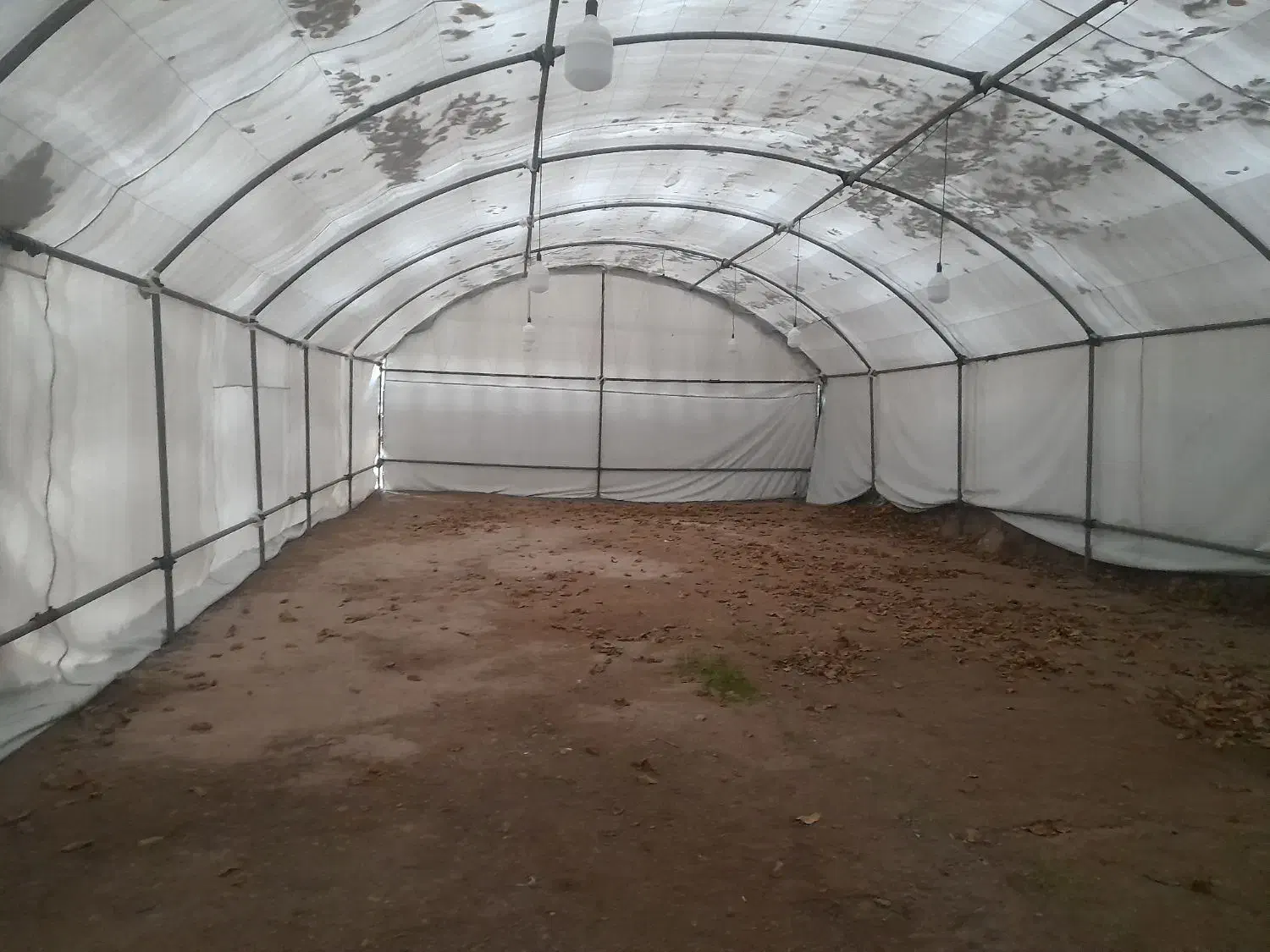 چادر مراسم|خدمات پذیرایی، مراسم|اسکو, |دیوار