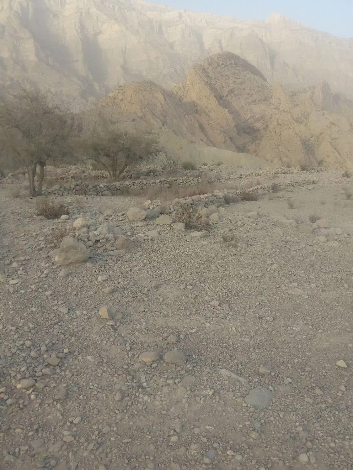 زمین|فروش زمین و ملک کلنگی|تخت, |دیوار