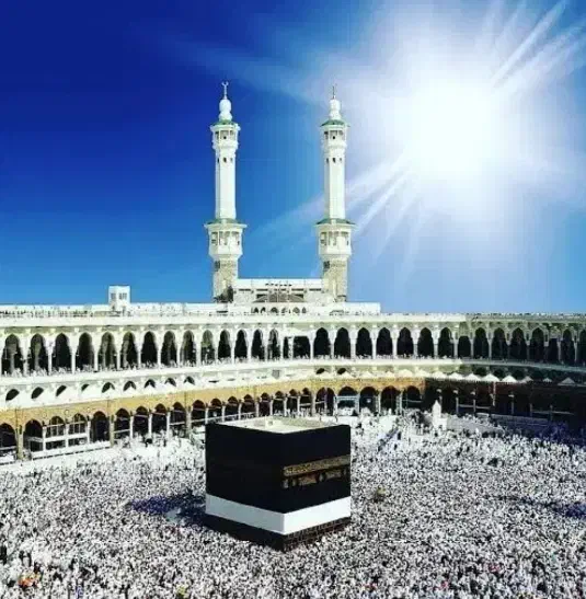 فیش حج|تور و چارتر|کرمان, |دیوار