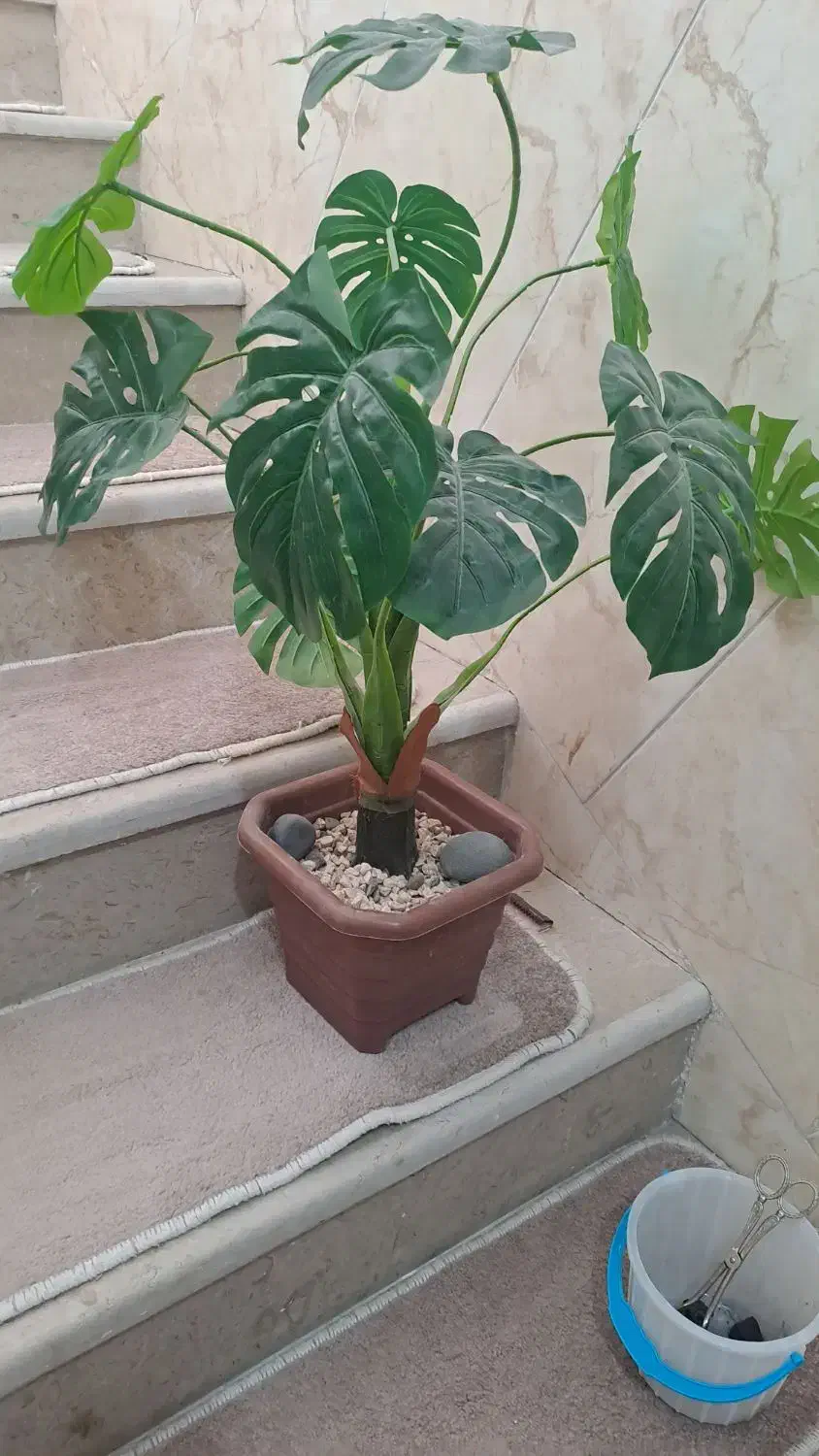 درختچه|گل مصنوعی|پرند, فاز ۳|دیوار