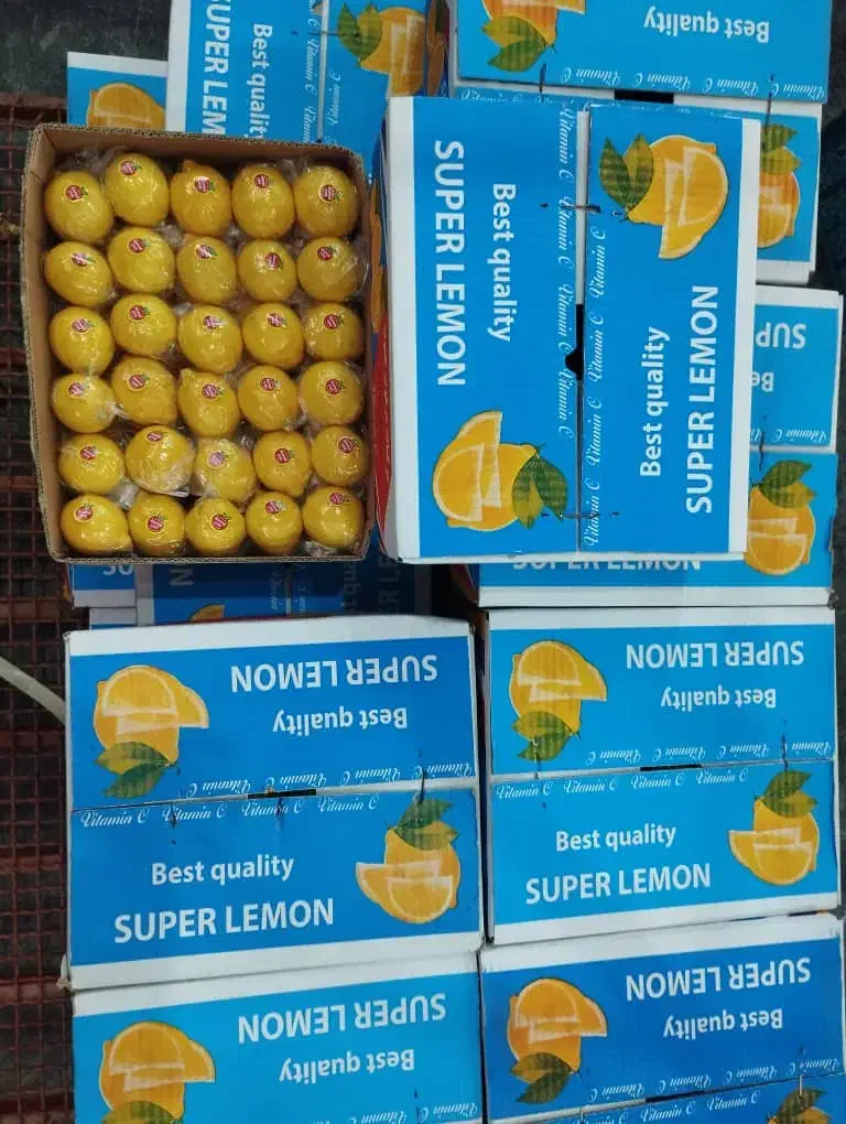 کارتن زغال و مرکبات|عمده‌فروشی|جهرم, |دیوار