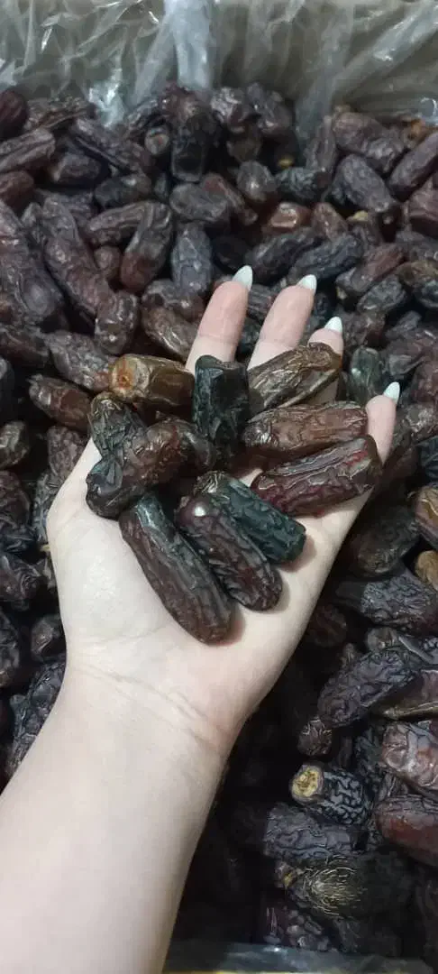 خرما|عمده‌فروشی|مرودشت, ولایت|دیوار