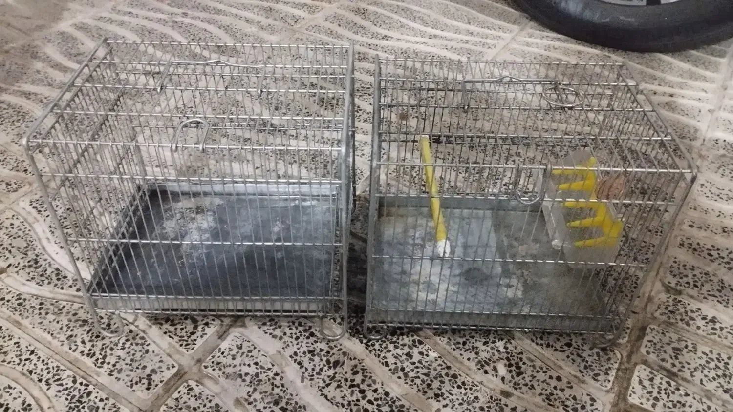 قفس سهره سره فضلی|لوازم جانبی حیوانات|ری, دولتآباد|دیوار