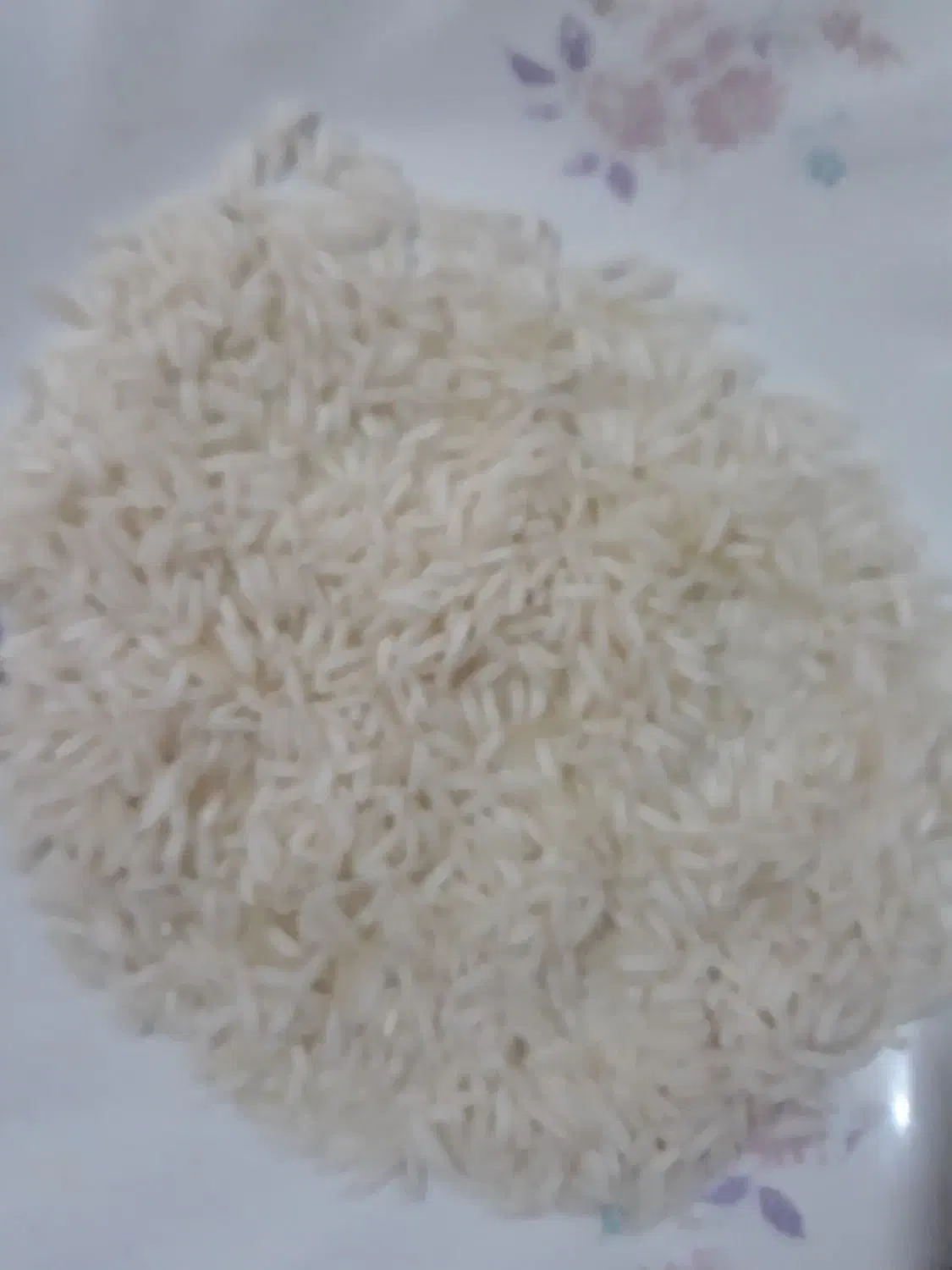 برنج پر محصول|خوردنی و آشامیدنی|رشت, آب و برق|دیوار