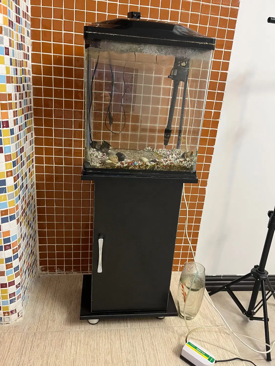 آکواریوم آماده|ماهی|گرگان, |دیوار