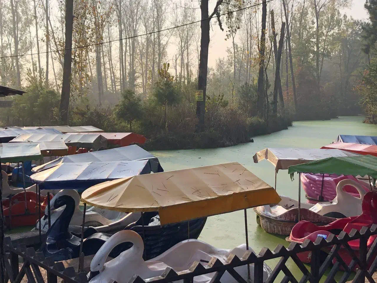 نیروی ساده خانم جهت کار در عکاسی|استخدام هنری و رسانه|سنگر, |دیوار