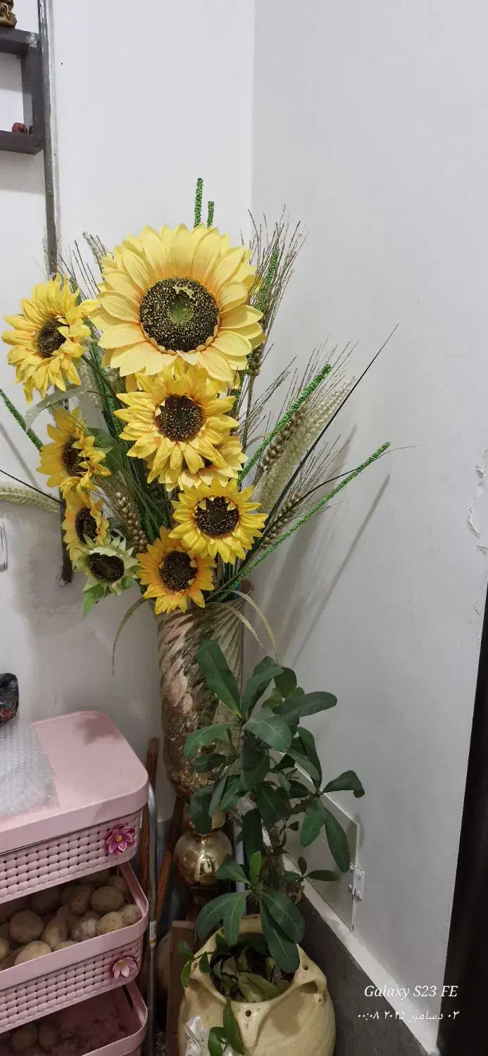 گل تزئینی|گل مصنوعی|سنندج, |دیوار