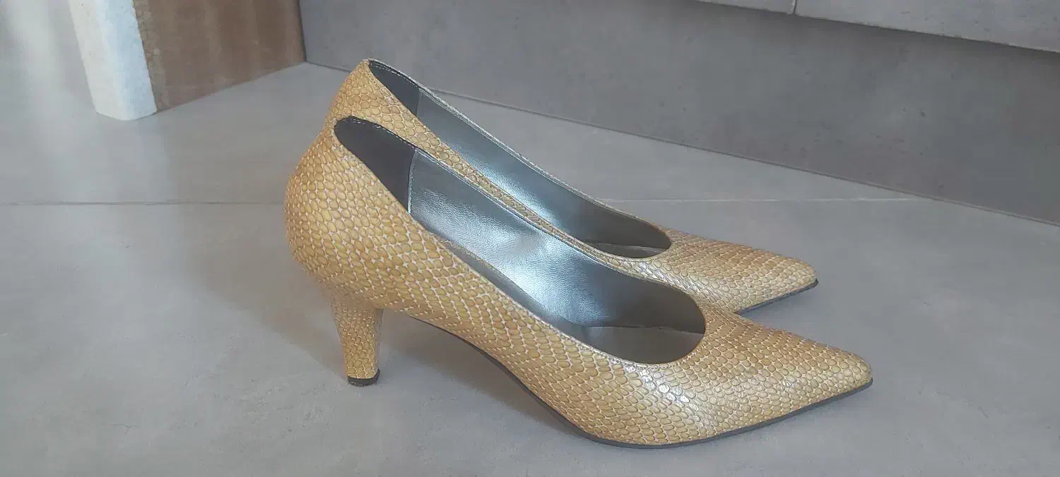 کفش مجلسی پوست ماری|کیف، کفش، کمربند|شیراز, لاله|دیوار