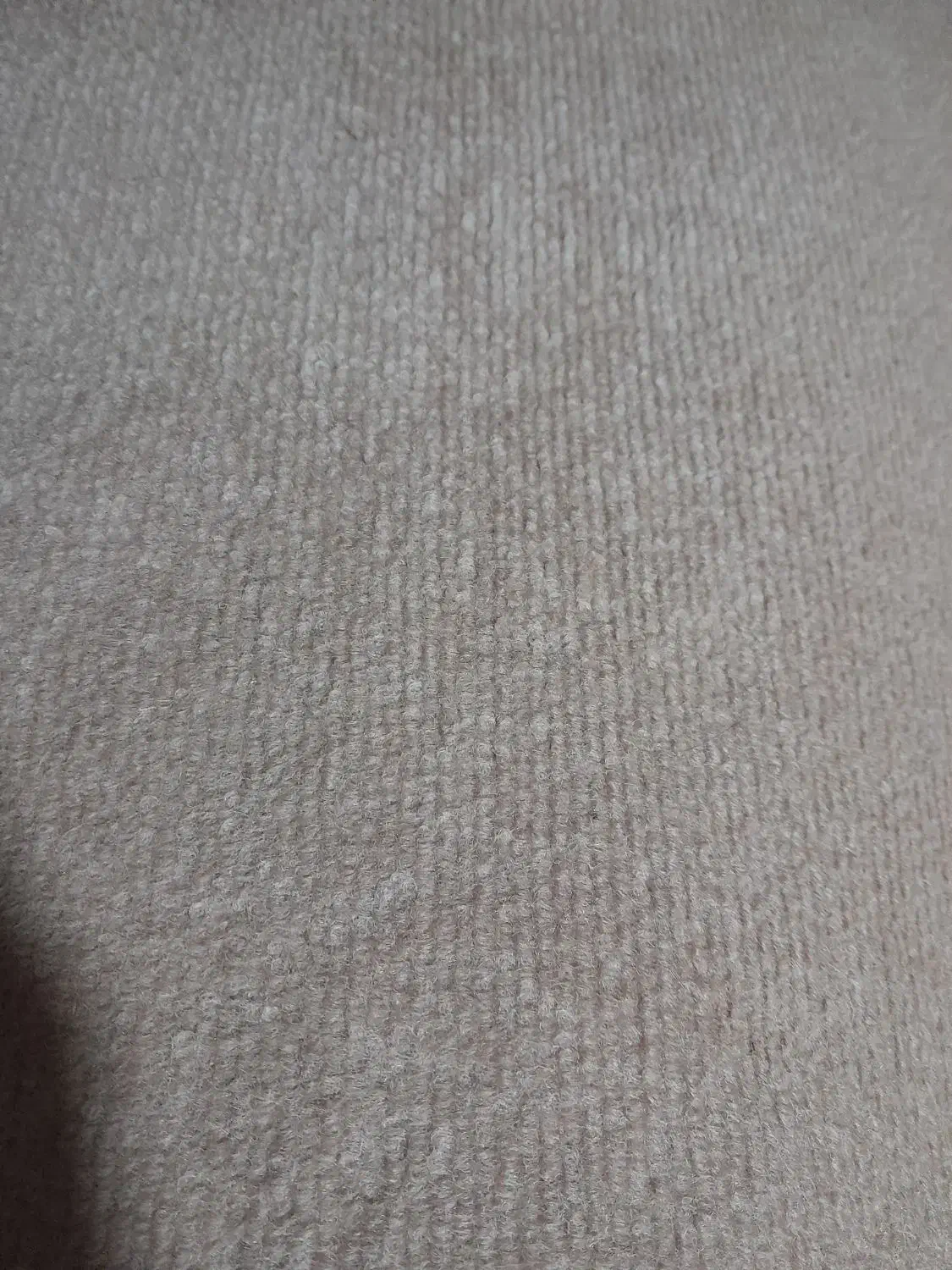 موکت تمیزوسالم|موکت|رودبنه, |دیوار