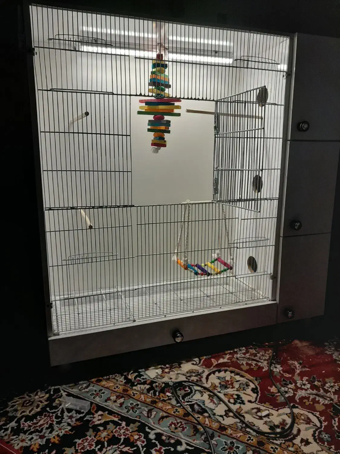 قفس عروس|حیوانات مزرعه|آشتیان, |دیوار