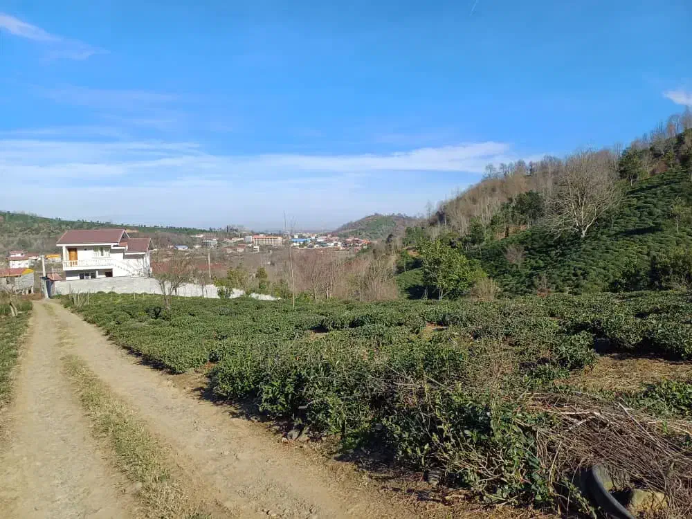 تمیز|فروش زمین و ملک کلنگی|رانکوه, |دیوار