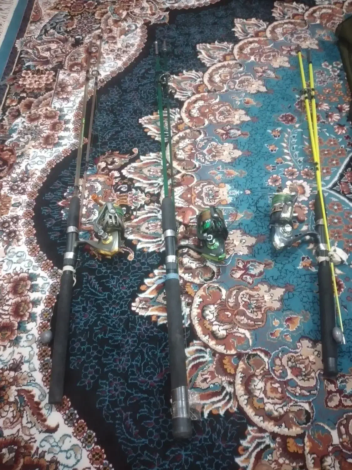 لنسر ماهیگیری|ماهیگیری|شوشتر, |دیوار