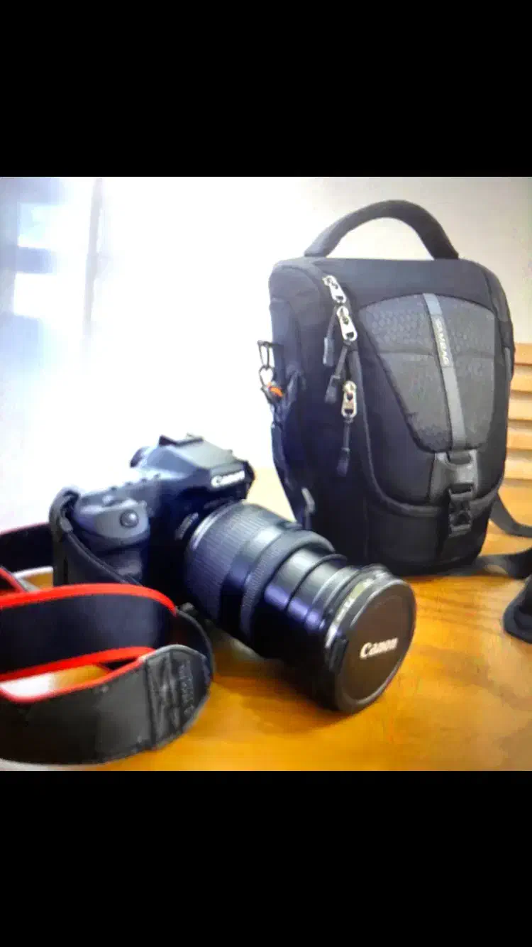 دوربین عکاسی|دوربین عکاسی و فیلم‌برداری|اراک, |دیوار