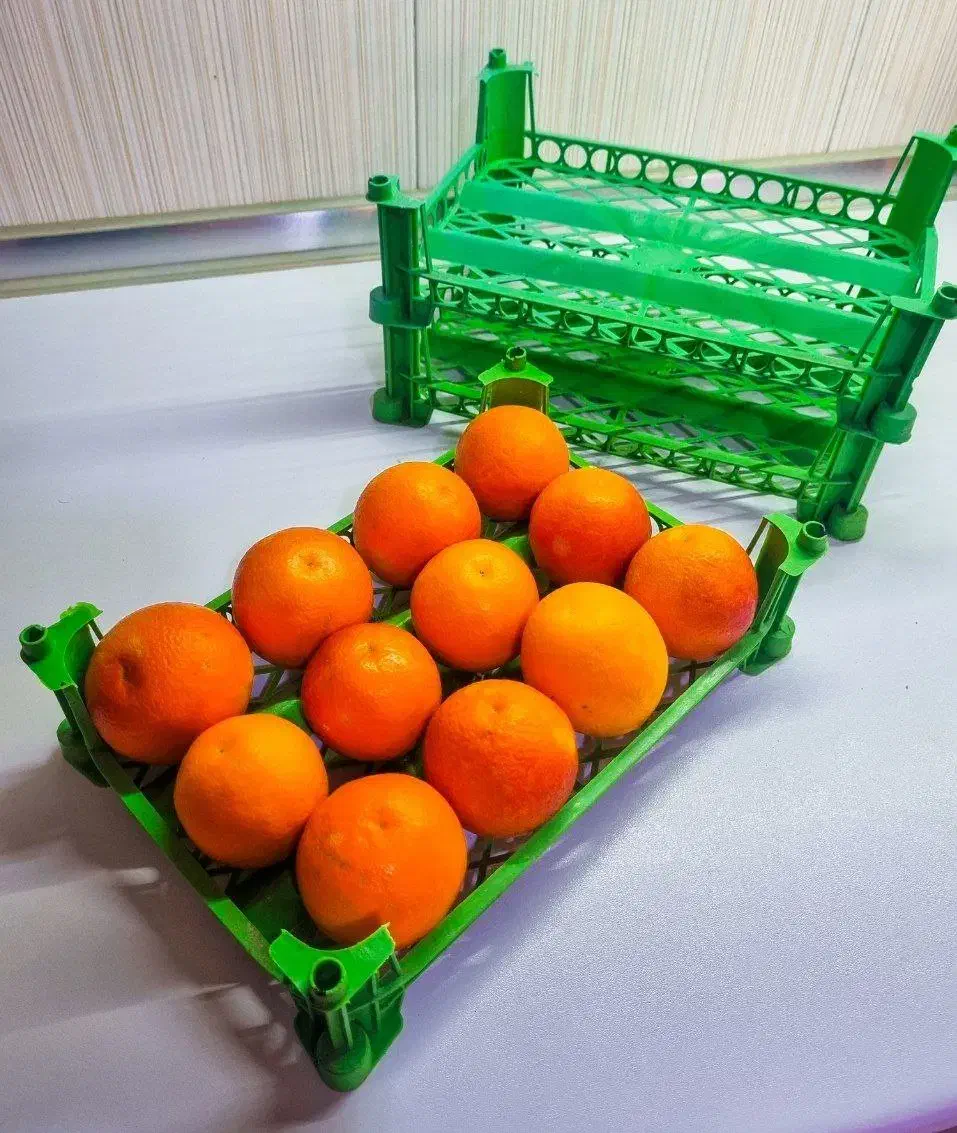 فروش قالب سبد میوه|ماشین‌آلات صنعتی|جویبار, |دیوار