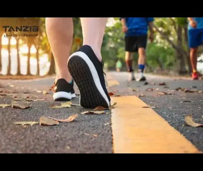 تهران گردی|فعالیت داوطلبانه تحقیقاتی|تهران, مهرآباد جنوبی|دیوار