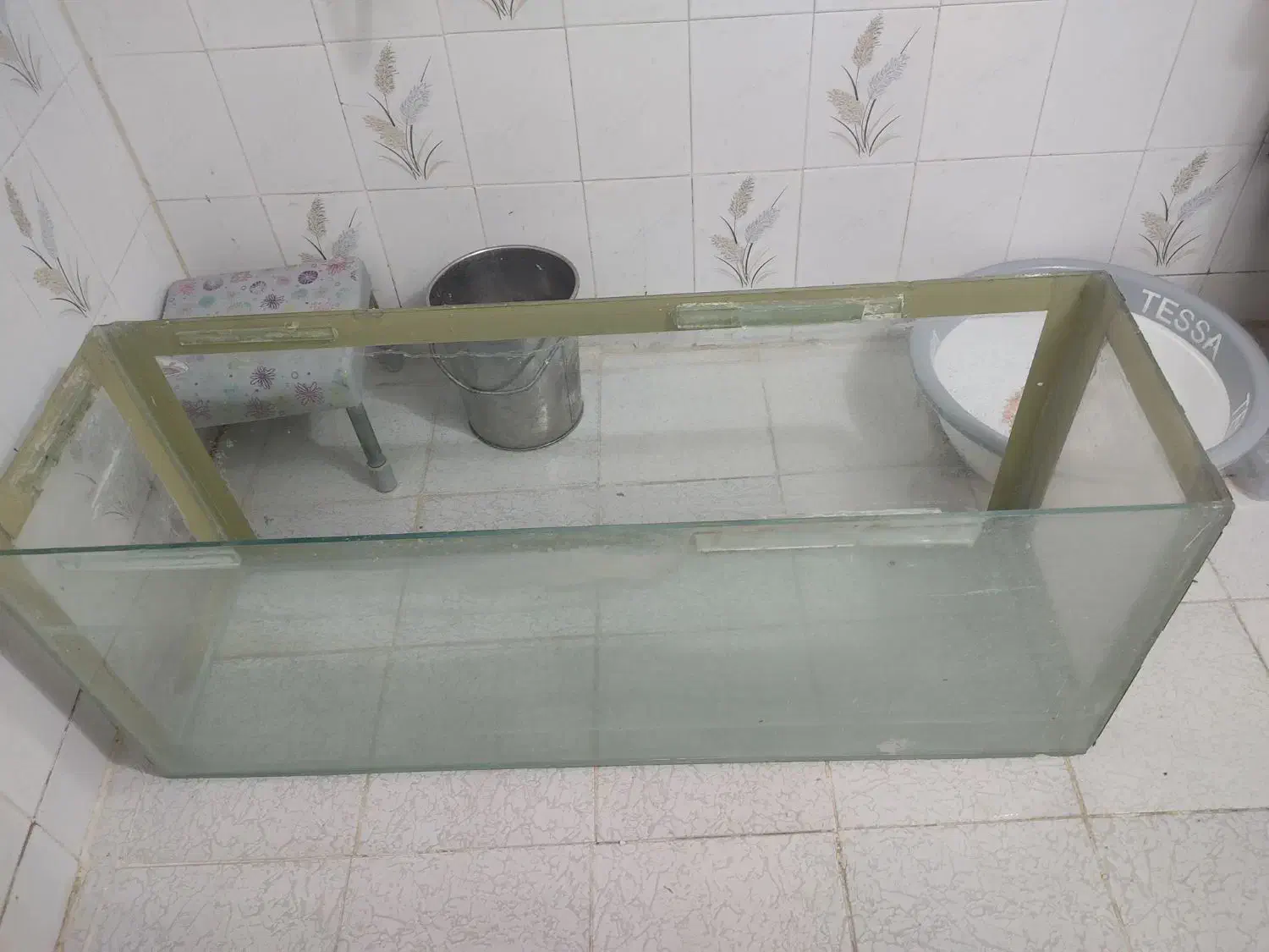 اکواریوم بزرگ|ماهی|شیراز, اصلاح‌نژاد|دیوار