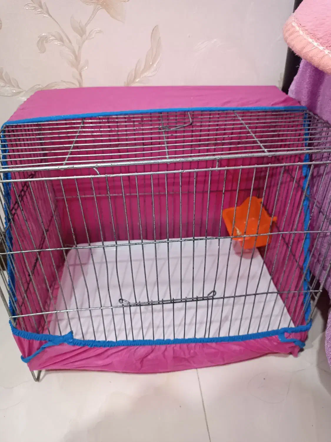 وسایل خرگوش|موش و خرگوش|فولادشهر, C4|دیوار