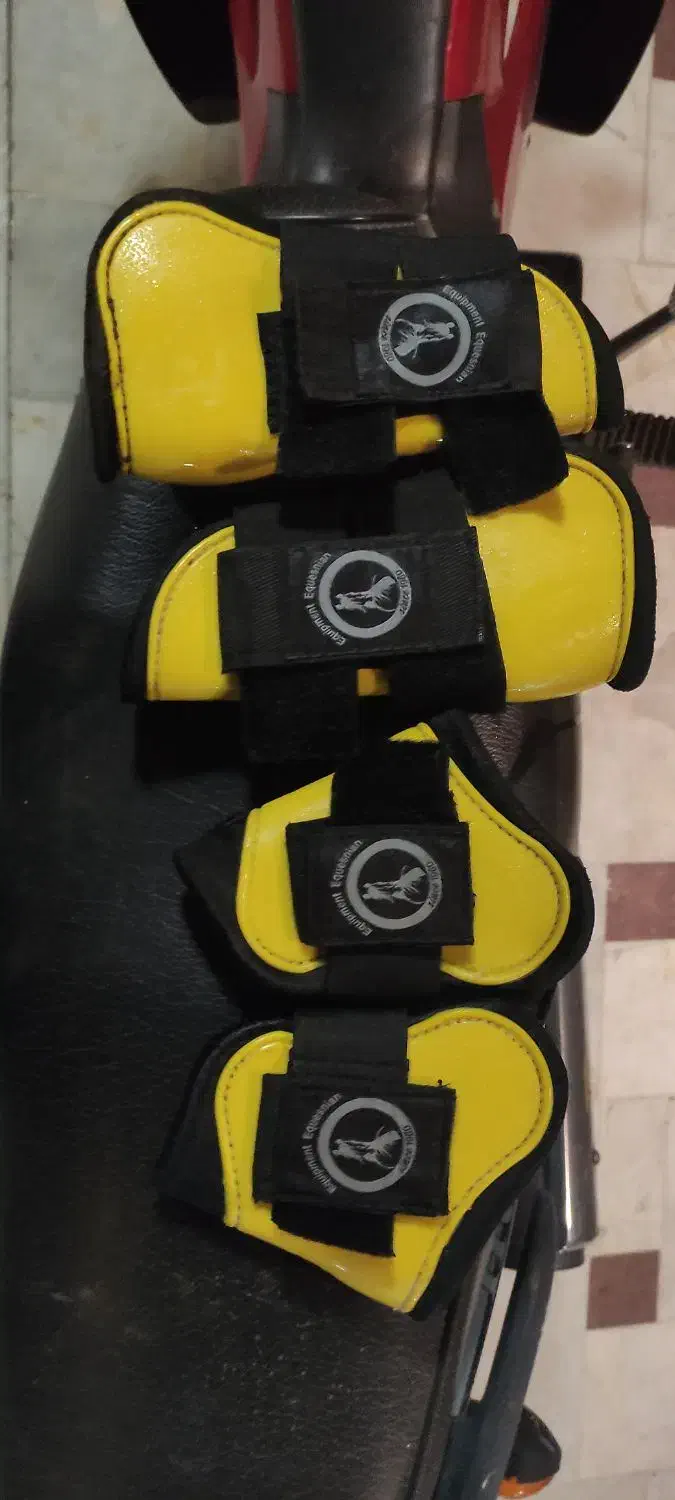 زین اسب|اسب و تجهیزات اسبسواری|کاشان, دانش|دیوار