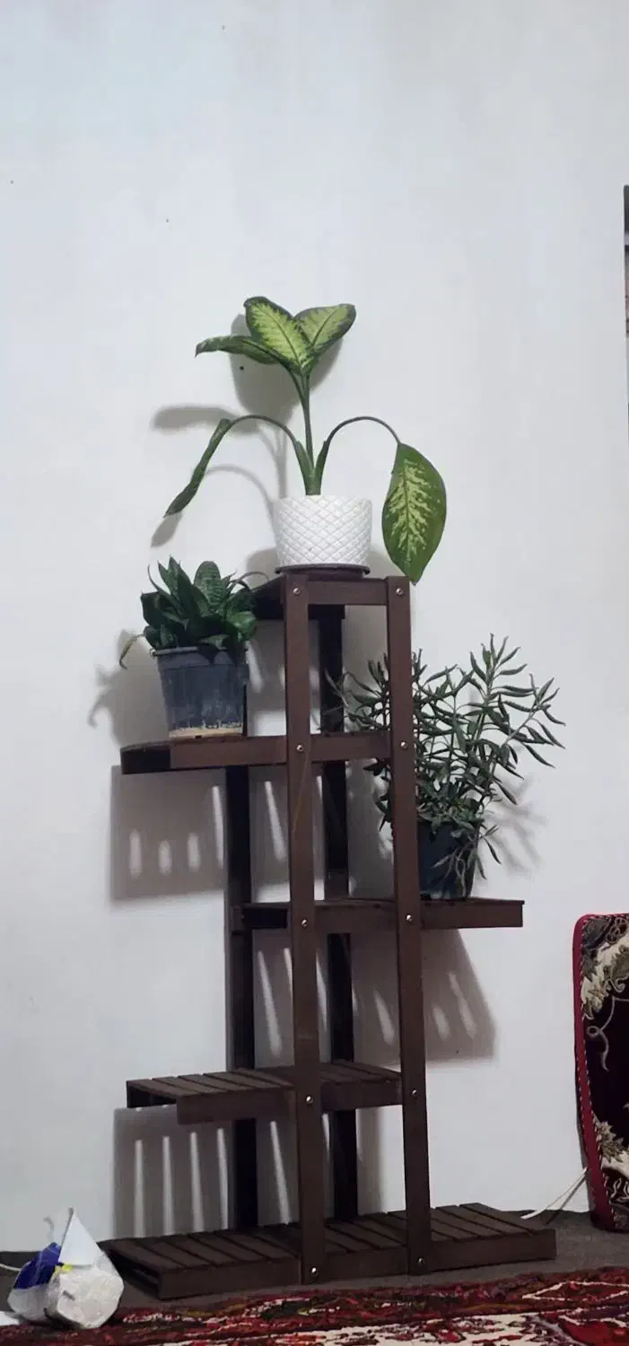 استند گل شیک تاشو|صنایع دستی و سایر لوازم تزئینی|تبریز, |دیوار