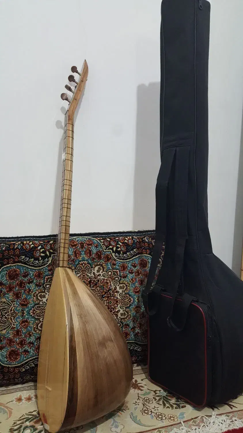 ساز دیوان دسته بلند|سازهای سنتی|سنندج, |دیوار