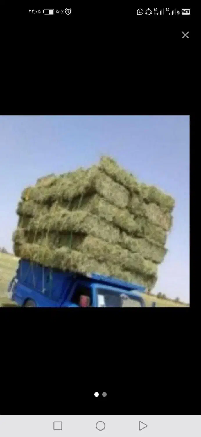 فروش یونجه وکاه درجه یک|لوازم جانبی حیوانات|شیراز, شهرک فرهنگیان|دیوار