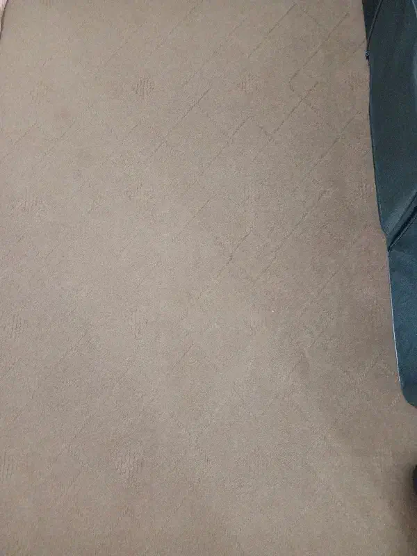 موکت|موکت|پاکدشت, پاکدشت (مامازند)|دیوار