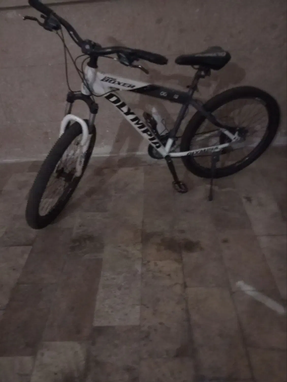 دندی|دوچرخه، اسکیت، اسکوتر|مشهد, موسوی قوچانی|دیوار