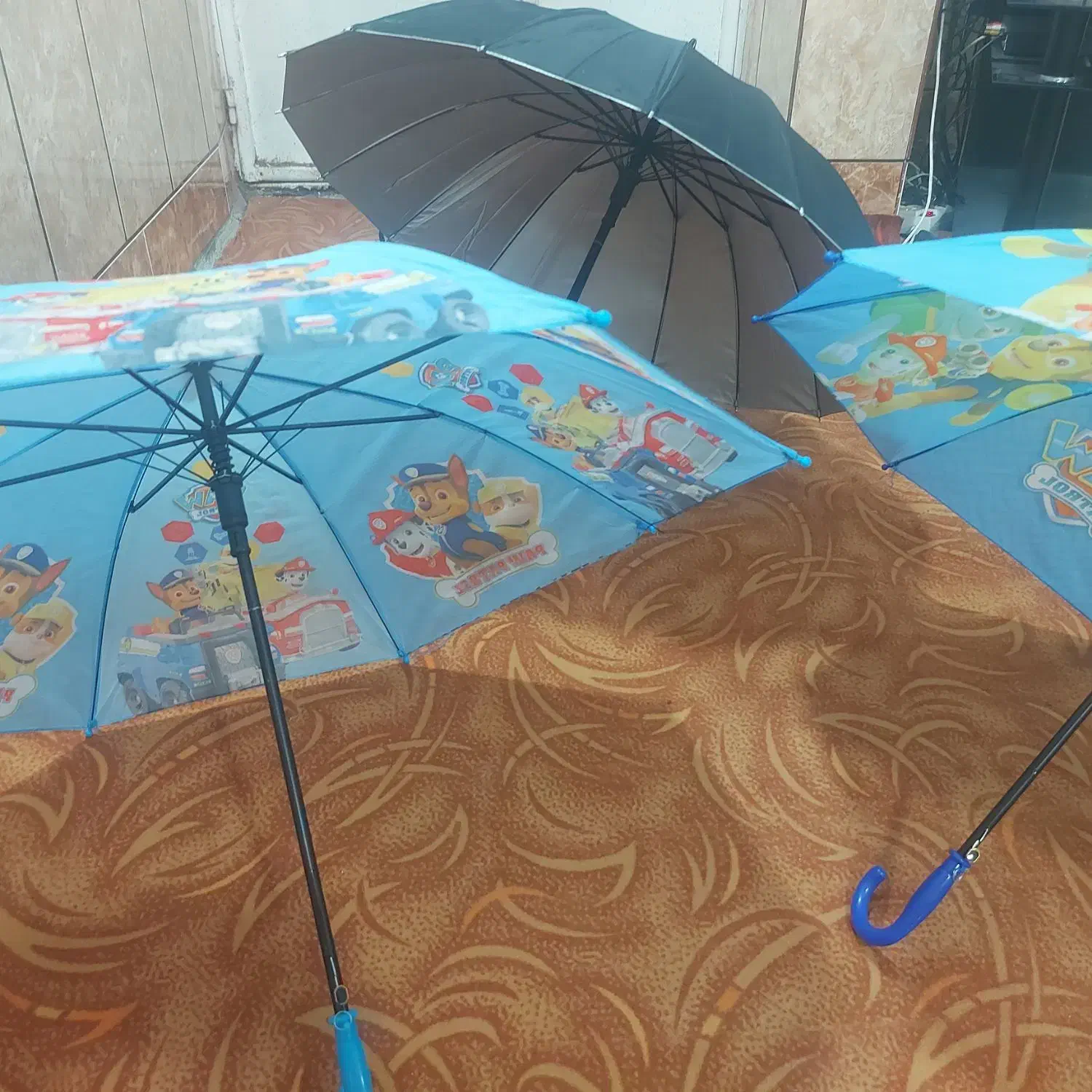 چتر|کوهنوردی و کمپینگ|مسجد سلیمان, |دیوار