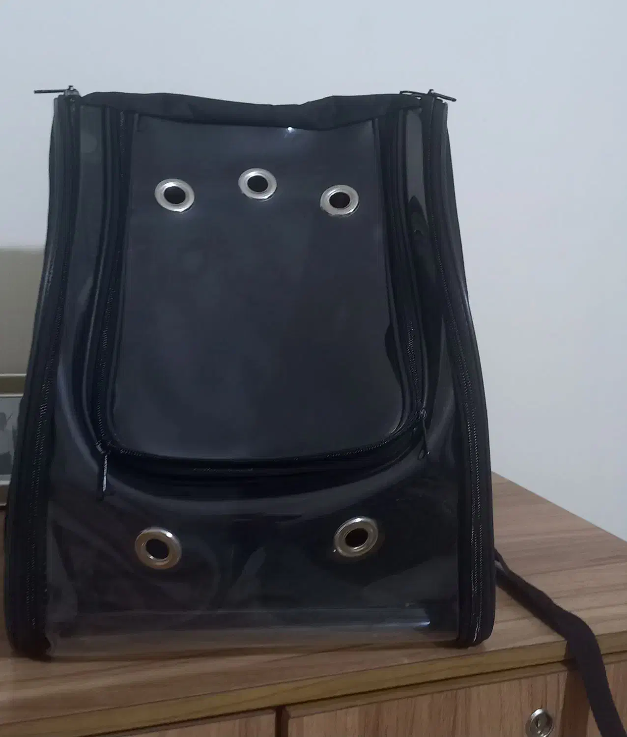 باکس گربه|لوازم جانبی حیوانات|رشت, پارک شهر|دیوار