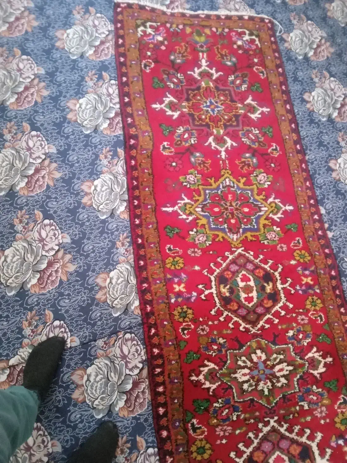 فرش دستباف|فرش|مرند, |دیوار