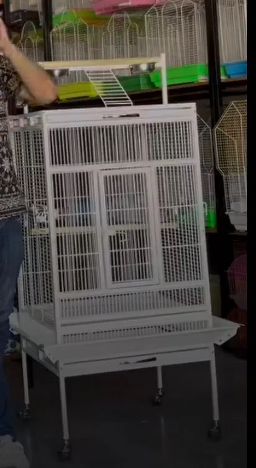 قفس پرنده|لوازم جانبی حیوانات|امیدیه, |دیوار