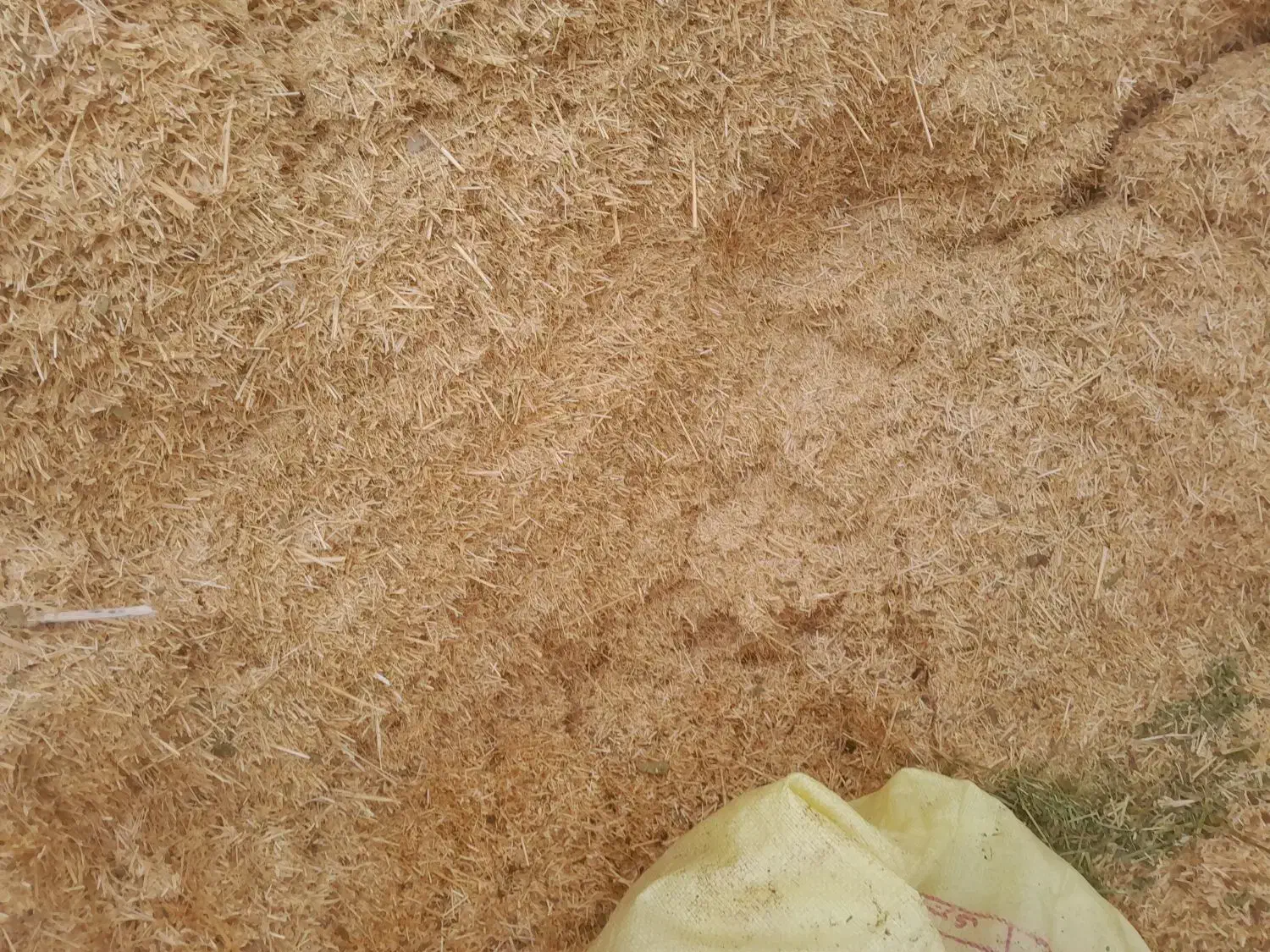 کاه|عمدهفروشی|فراشبند, |دیوار