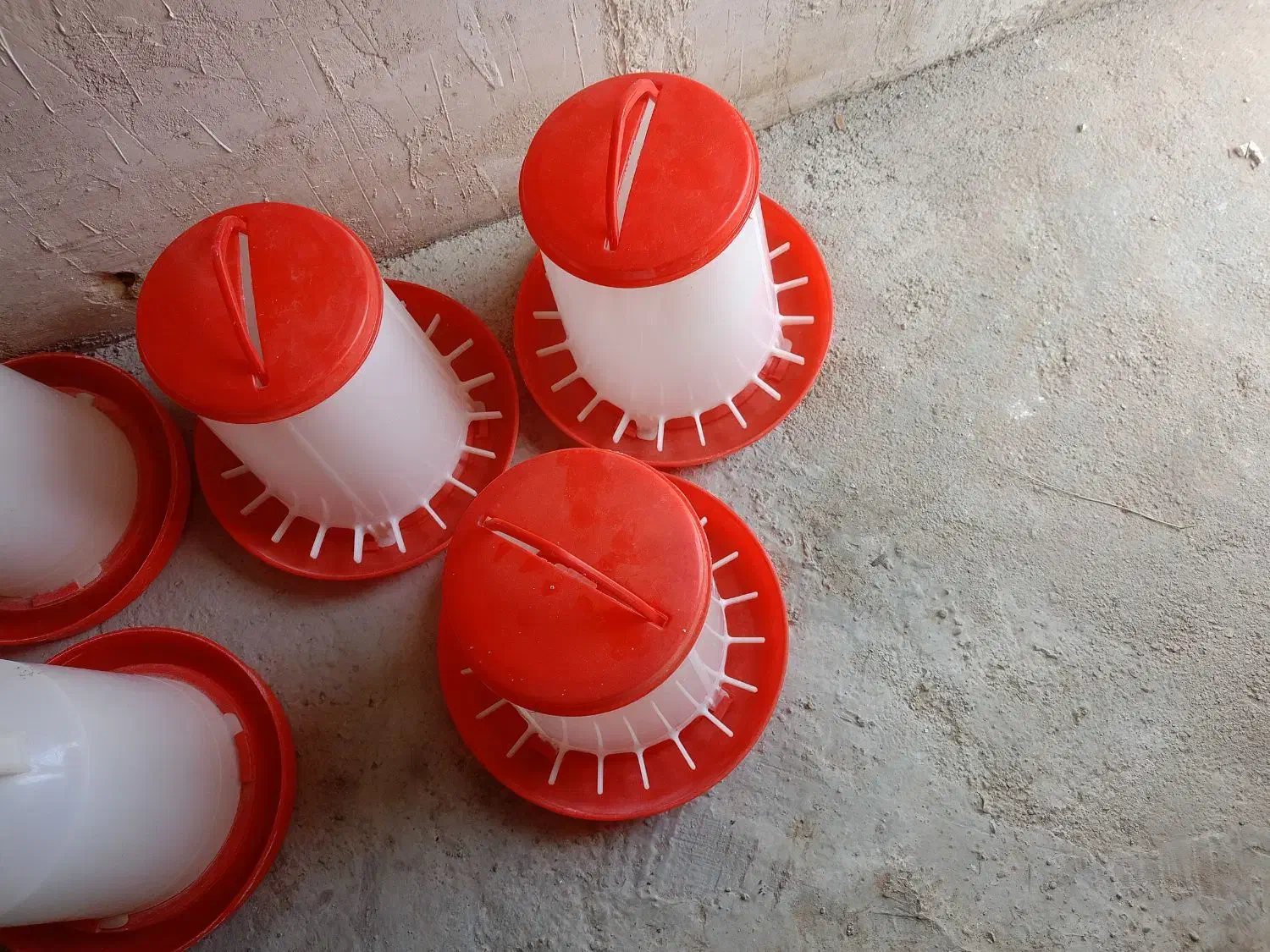 دان خوری وآب خوری|لوازم جانبی حیوانات|مرند, |دیوار