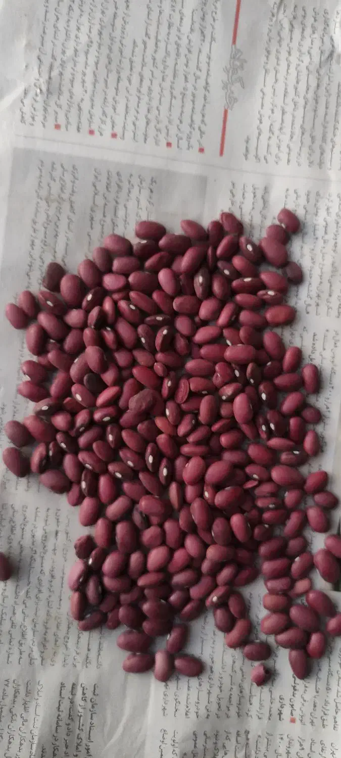 لوبیا قرمز|خوردنی و آشامیدنی|بیرانوند, |دیوار