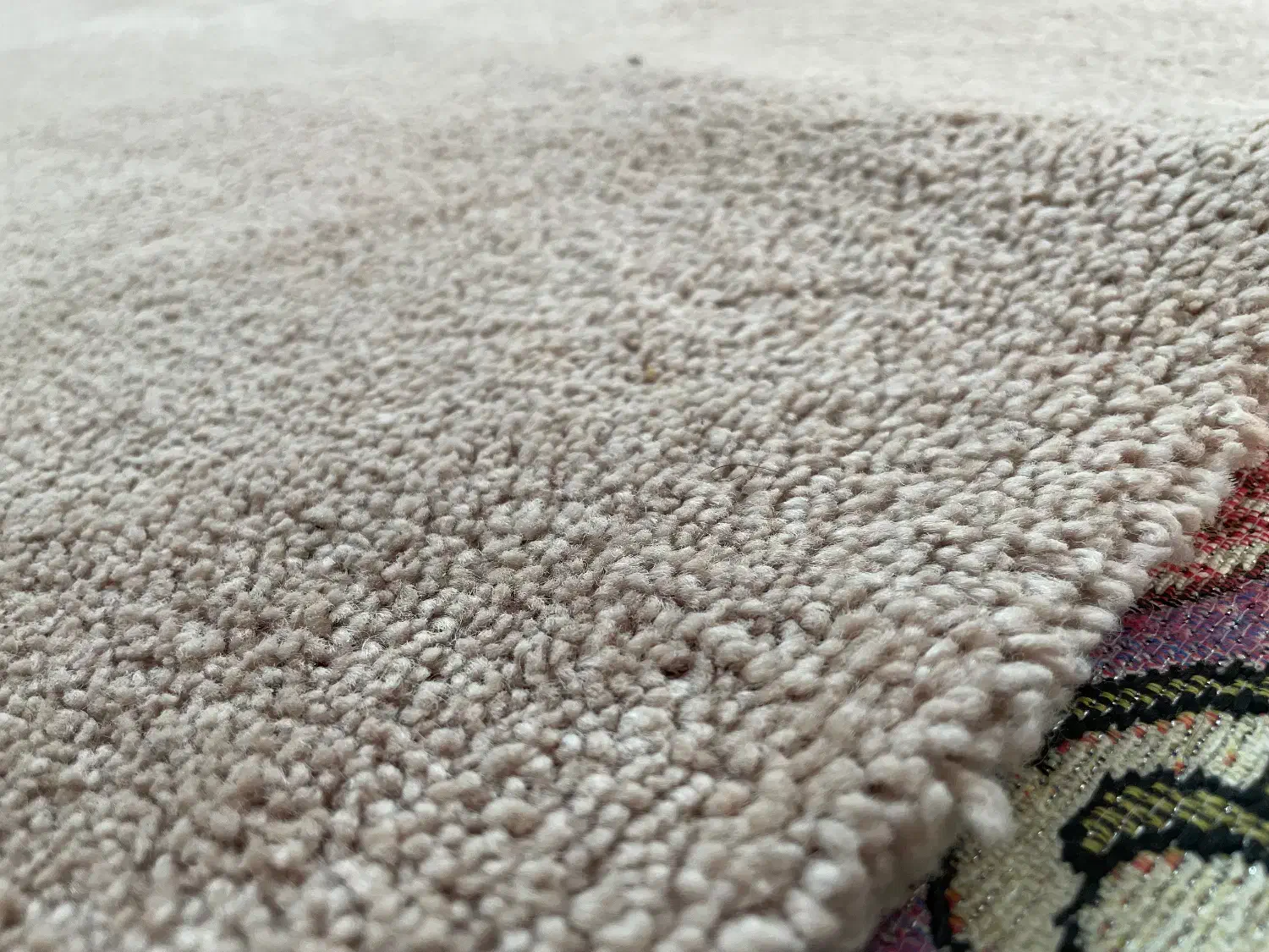 پالازموکت|موکت|نسیمشهر, |دیوار