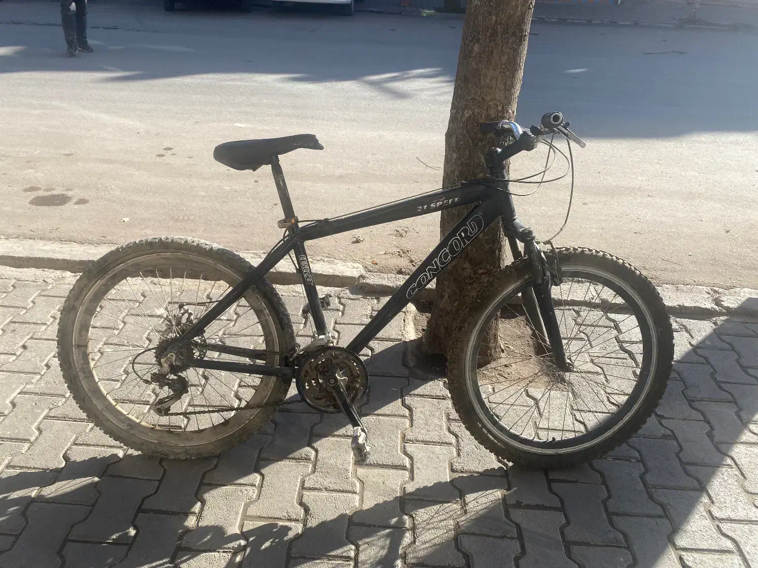 دوچرخه concord|دوچرخه، اسکیت، اسکوتر|مرند, |دیوار