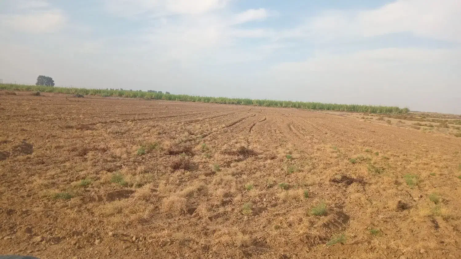 زمین یک هکتارنیم هست واسه باغ انار|اجارهٔ دفتر صنعتی، کشاورزی، تجاری|گنبد کاووس, |دیوار