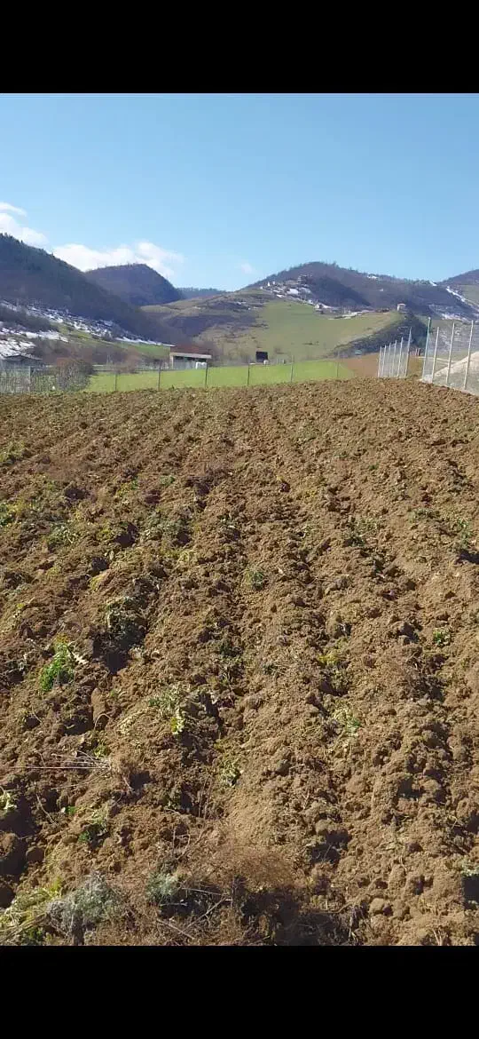 زمین ۱۰۰۰متری ۸۰ متر بر فریم|فروش زمین و ملک کلنگی|فریم, |دیوار