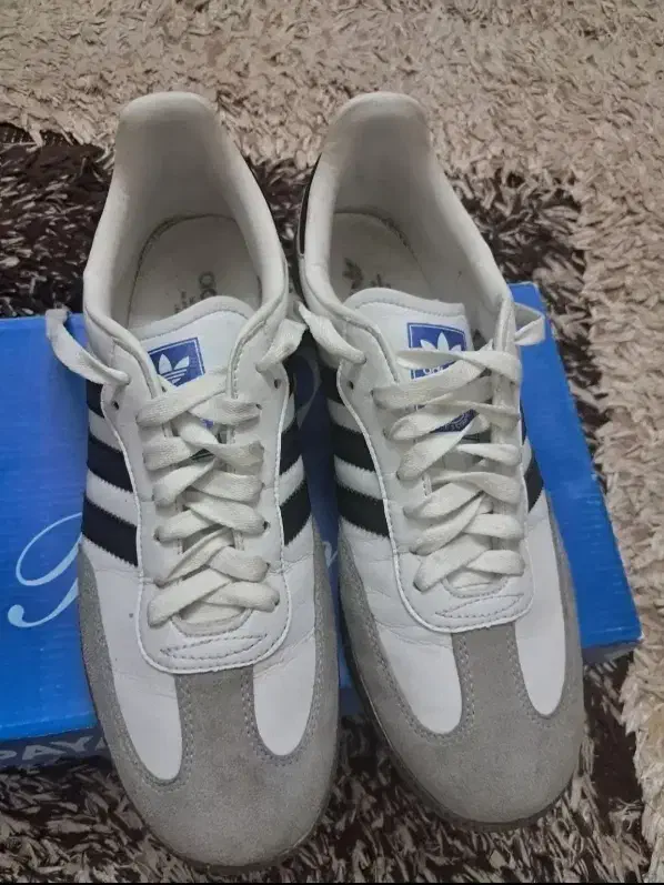 کفش|کیف، کفش، کمربند|تهران, صفا|دیوار