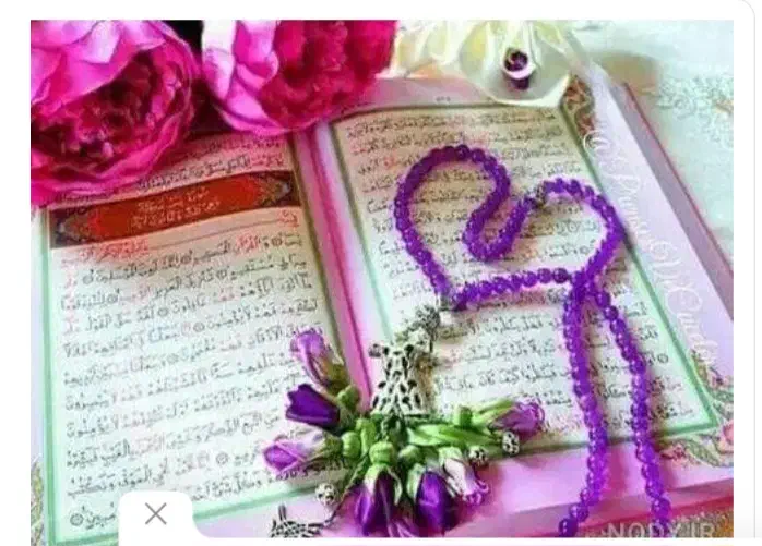 مجرب برای حوائج|خدمات پذیرایی، مراسم|کاشان, شهرک خاتم الانبیا (مسکن ملی کاشان)|دیوار