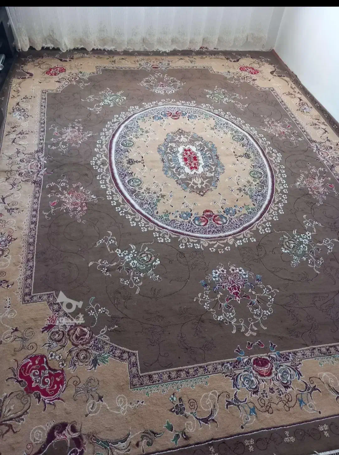 فرش دست دوم|فرش|بانه, |دیوار