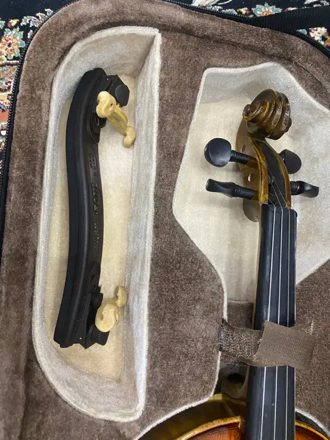 ویولن آلمانی maxtor|ویولن|تبریز, |دیوار