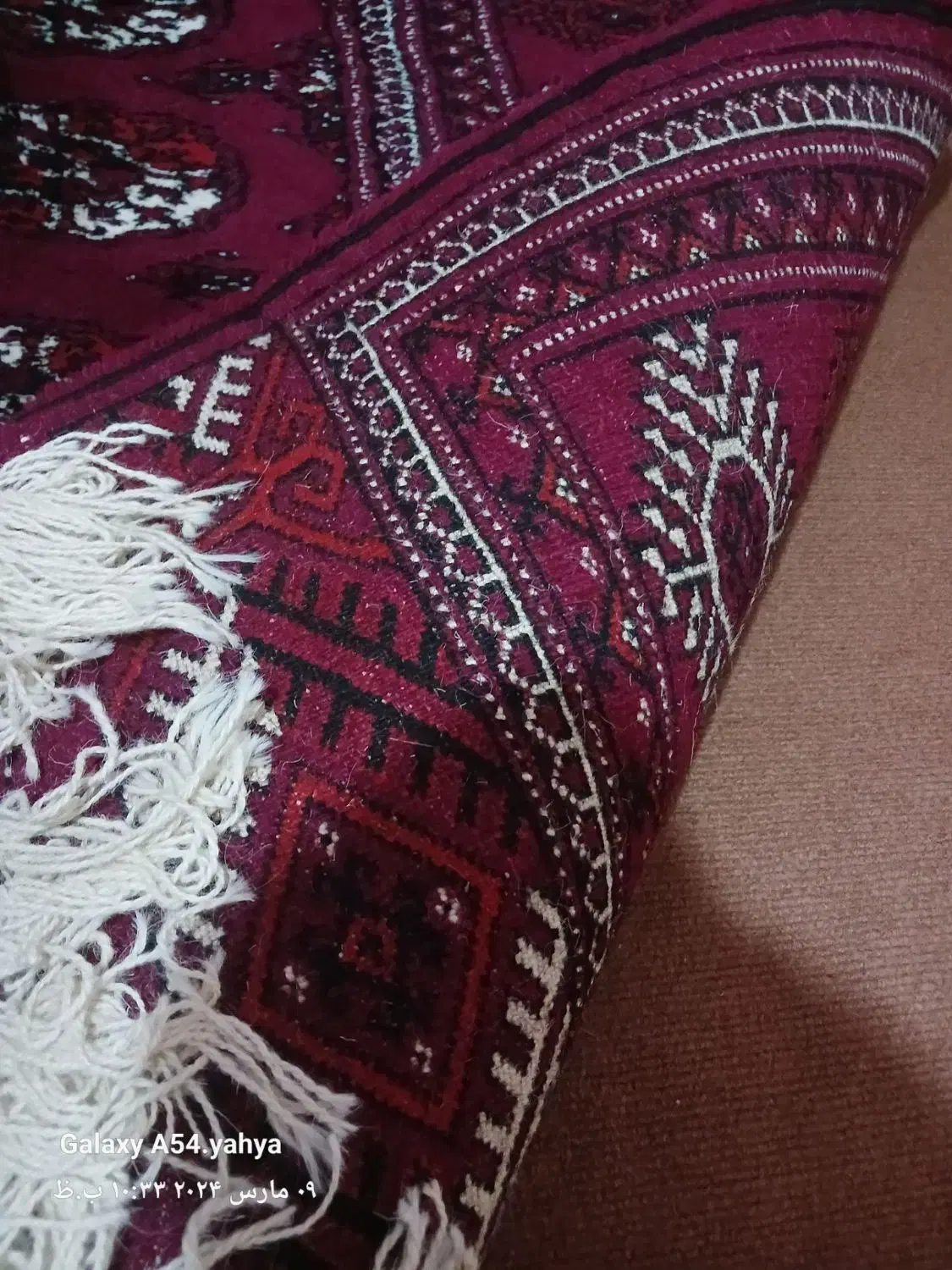 قالی|فرش|گنبد کاووس, |دیوار