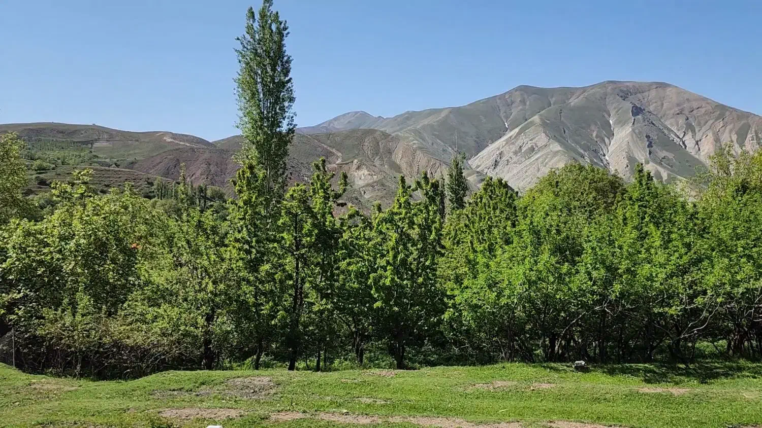 زمین در روستای امامه بالا|فروش زمین و ملک کلنگی|فشم, |دیوار