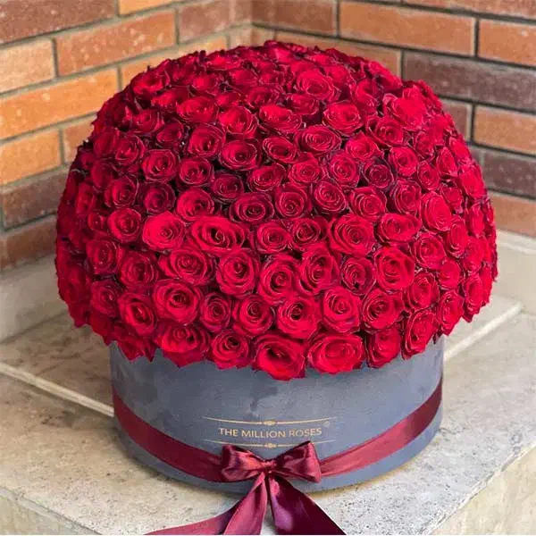 دسته گل رز ژیپسوفیلا باکس گل قیمت بازار|گل و گیاه طبیعی|تهران, آهنگ|دیوار