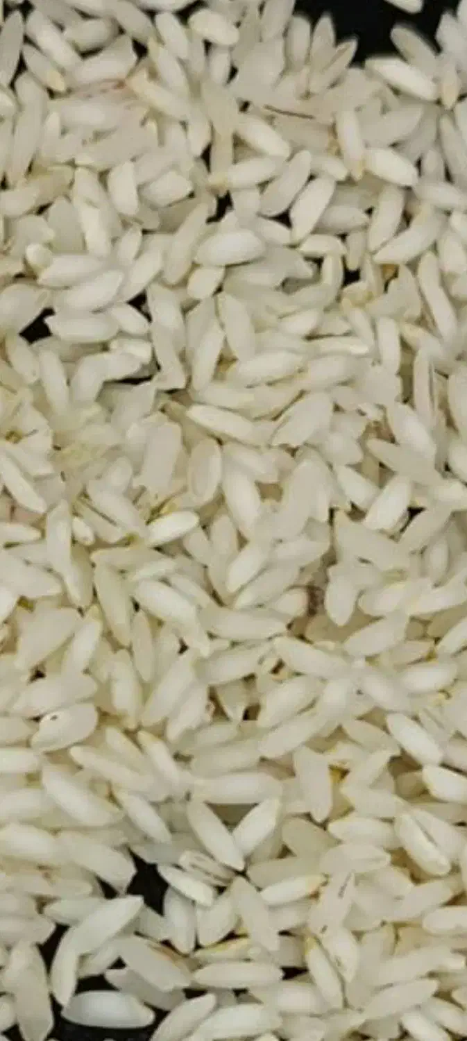 سراسر ایران|عمده‌فروشی|حمیدیه, |دیوار