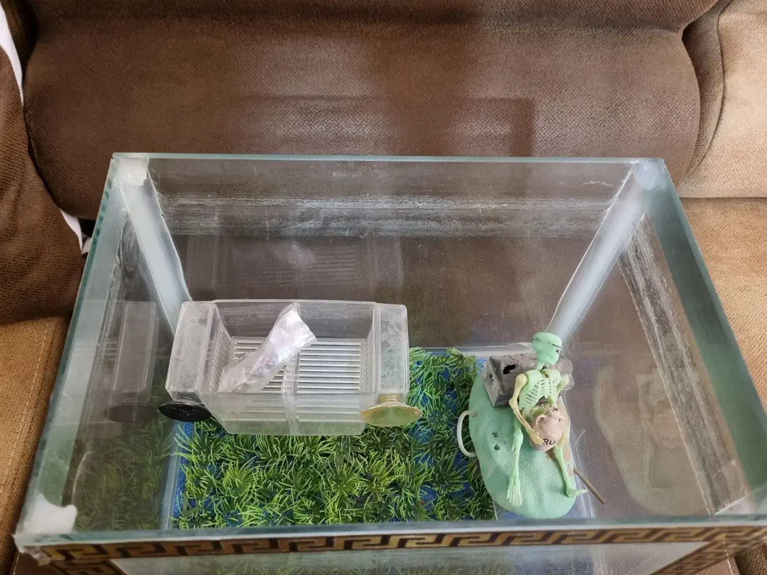 آکواریوم ابعاد ۲۴ در ۳۰|ماهی|پرند, فاز ۲|دیوار