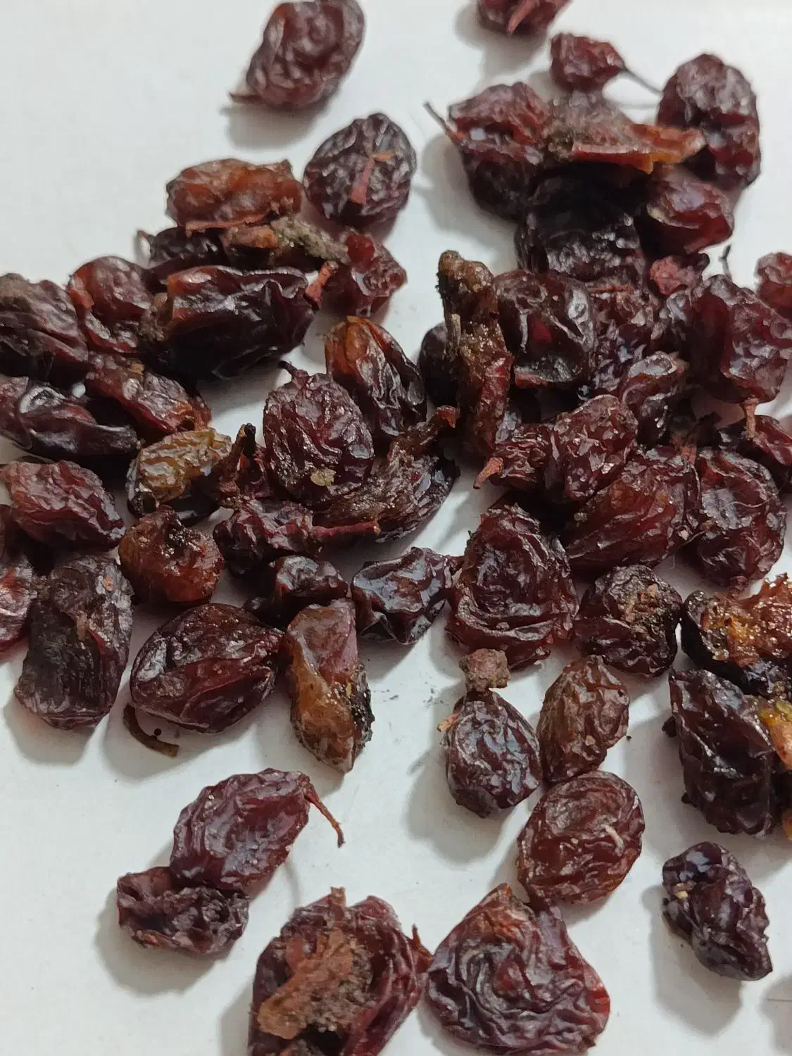 کشمش ابگیری|عمدهفروشی|لولمان, |دیوار