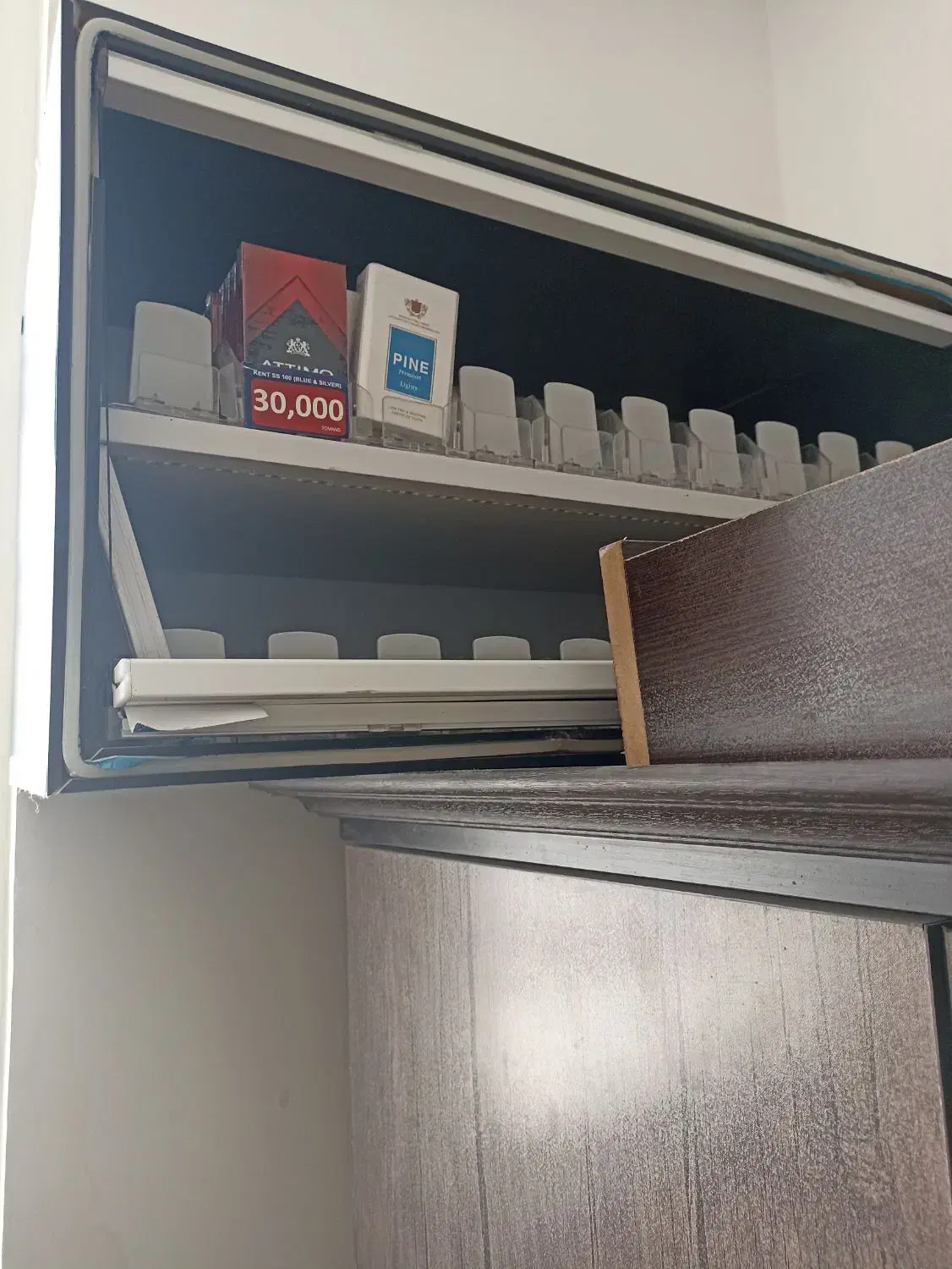 استند|گل و گیاه طبیعی|شیراز, کرونی(خاتونک)|دیوار